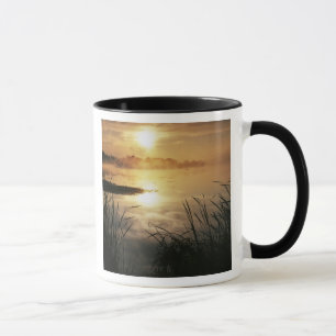 USA, Washington, Lopez Island, Morgennebel auf Tasse