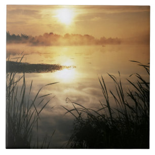 USA, Washington, Lopez Island, Morning neg Fliese