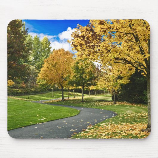 USA, Washington Mousepad (Vorne)