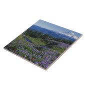 USA, Washington Mt. Adams Wilderness, Meadows Fliese (Seite)