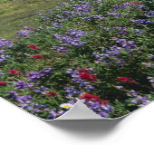 USA, Washington Mt. Adams Wilderness, Meadows Poster (Ecke)