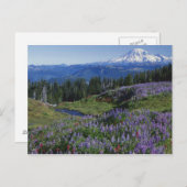 USA, Washington Mt. Adams Wilderness, Meadows Postkarte (Vorne/Hinten)