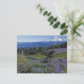 USA, Washington Mt. Adams Wilderness, Meadows Postkarte (Stehend Vorderseite)