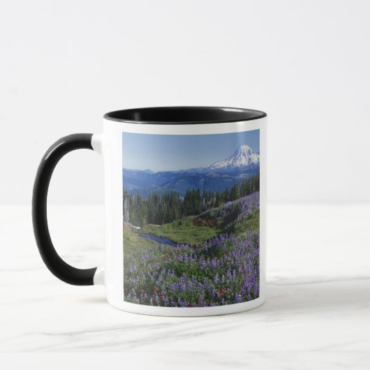 USA, Washington Mt. Adams Wilderness, Meadows Tasse (Links)