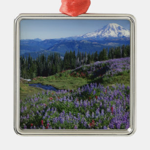 USA, Washington Mt. Adams Wilderness, Wiesen Ornament Aus Metall