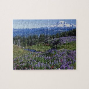 USA, Washington Mt. Adams Wilderness, Wiesen Puzzle