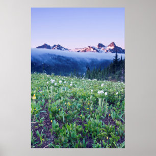 USA, Washington, Mt. Rainier National Park 4 Poster