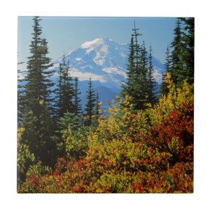 USA, Washington, Mt. Rainier Nationalpark 2 Fliese