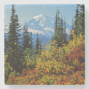 USA, Washington, Mt. Rainier Nationalpark 2 Steinuntersetzer