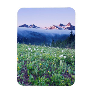 USA, Washington, Mt. Rainier Nationalpark 4 Magnet
