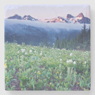USA, Washington, Mt. Rainier Nationalpark 4 Steinuntersetzer