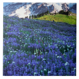 USA, Washington, Mt. Rainier Nationalpark. Berg Fliese