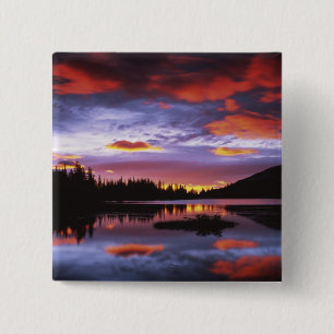 USA, Washington, Mt. Rainier Nationalpark, Button