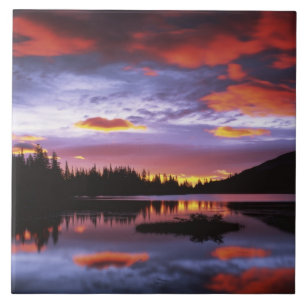 USA, Washington, Mt. Rainier Nationalpark, Fliese
