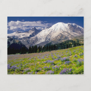 USA, Washington, Mt. Rainier Nationalpark. Postkarte