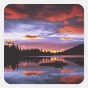 USA, Washington, Mt. Rainier Nationalpark, Quadratischer Aufkleber