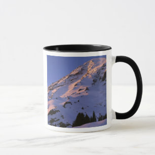 USA, Washington, Mt. Rainier Nationalpark Tasse