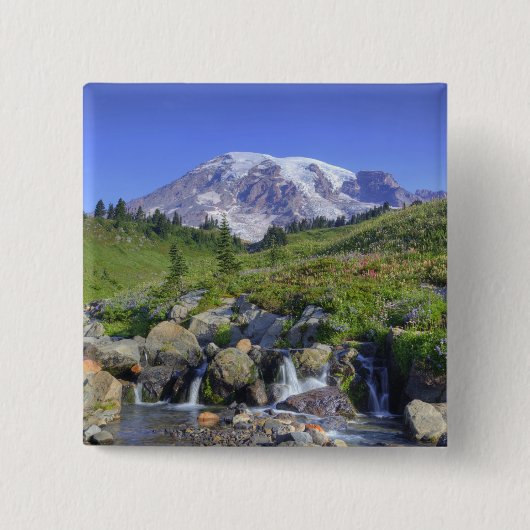 USA, Washington, Mt. Rainier NP, Mt. Rainier und 2 Button (Vorderseite)