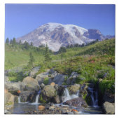 USA, Washington, Mt. Rainier NP, Mt. Rainier und 2 Fliese (Vorderseite)