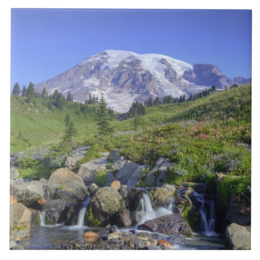 USA, Washington, Mt. Rainier NP, Mt. Rainier und 2 Fliese (Vorderseite)