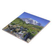 USA, Washington, Mt. Rainier NP, Mt. Rainier und 2 Fliese (Seite)