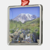 USA, Washington, Mt. Rainier NP, Mt. Rainier und 2 Silbernes Ornament (Links)