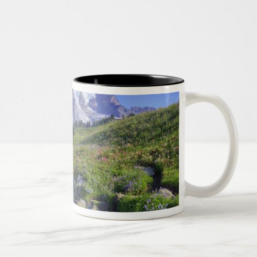 USA, Washington, Mt. Rainier NP, Mt. Rainier und 2 Zweifarbige Tasse (Rechts)