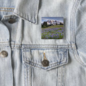 USA, Washington, Mt. Rainier NP, Mt. Rainier und Button (Beispiel)