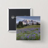USA, Washington, Mt. Rainier NP, Mt. Rainier und Button (Vorne & Hinten)