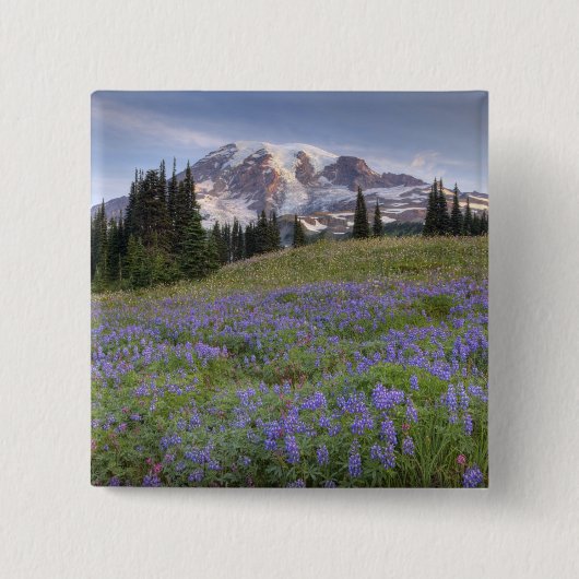USA, Washington, Mt. Rainier NP, Mt. Rainier und Button (Vorderseite)