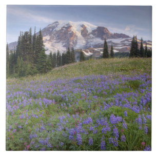 USA, Washington, Mt. Rainier NP, Mt. Rainier und Fliese