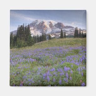 USA, Washington, Mt. Rainier NP, Mt. Rainier und Magnet
