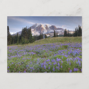 USA, Washington, Mt. Rainier NP, Mt. Rainier und Postkarte