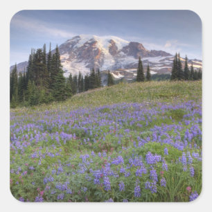 USA, Washington, Mt. Rainier NP, Mt. Rainier und Quadratischer Aufkleber