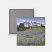 USA, Washington, Mt. Rainier NP, Rainier und Magnet (Vorderseite/Rückseite)