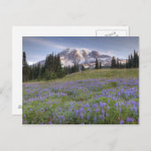 USA, Washington, Mt. Rainier NP, Rainier und Postkarte (Vorne/Hinten)
