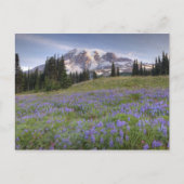 USA, Washington, Mt. Rainier NP, Rainier und Postkarte (Vorderseite)