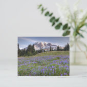 USA, Washington, Mt. Rainier NP, Rainier und Postkarte (Stehend Vorderseite)