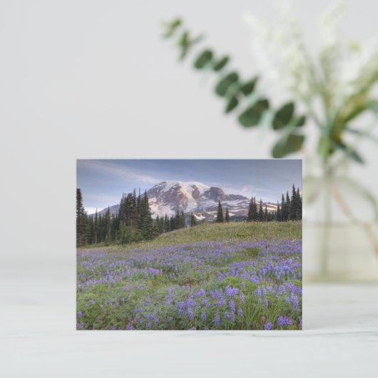 USA, Washington, Mt. Rainier NP, Rainier und Postkarte (Stehend Vorderseite)