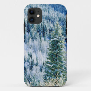 USA, Washington, Mt. Spokane State Park, Aspen 2 Case-Mate iPhone Hülle