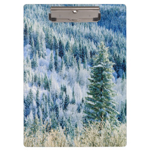 USA, Washington, Mt. Spokane State Park, Espe Klemmbrett