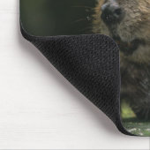USA, Washington, Nordwest Trek. Biber Mousepad (Ecke)