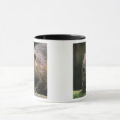 USA, Washington, Nordwest Trek. Biber Tasse (Zentrum)