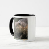 USA, Washington, Nordwest Trek. Biber Tasse (Vorderseite Links)