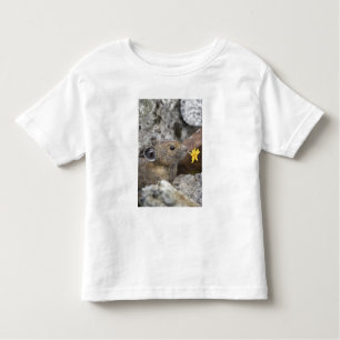 USA, Washington, North Cascades National Park, Kleinkind T-shirt