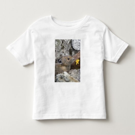 USA, Washington, North Cascades National Park, Kleinkind T-shirt (Vorderseite)