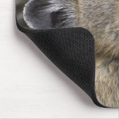 USA, Washington, North Cascades National Park, Mousepad (Ecke)