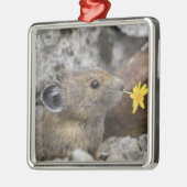 USA, Washington, North Cascades National Park, Silbernes Ornament (Links)