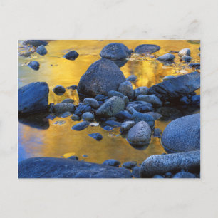 USA, Washington, Okanogan-Wenatchee National Postkarte