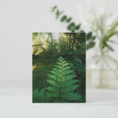 USA, Washington, Olympia National Park, Hoh River Postkarte (Stehend Vorderseite)